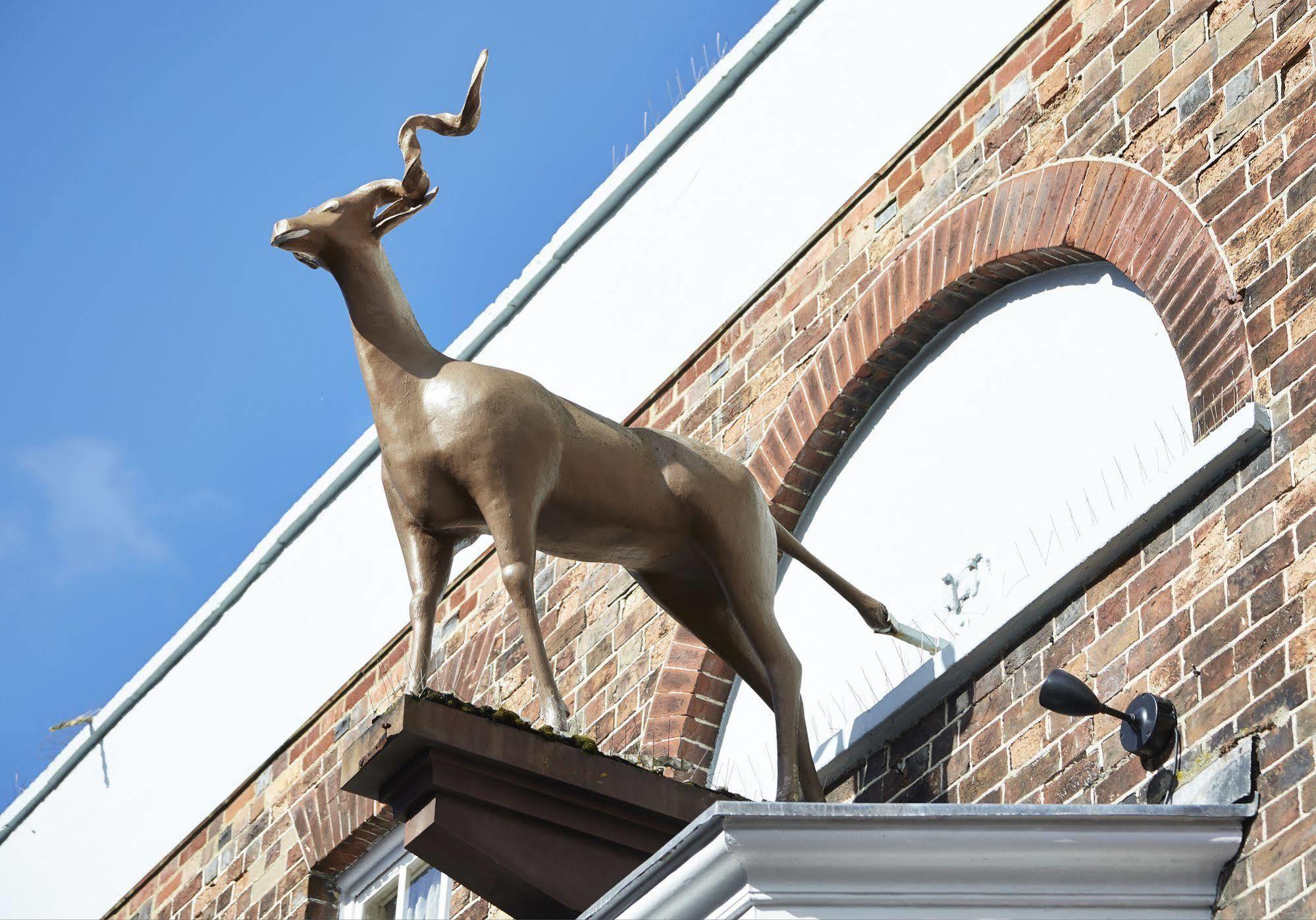 Antelope By Greene King Inns Poole Ngoại thất bức ảnh